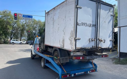 Изображение WhatsApp 2025-02-10 в 17.54.20_f4c12b81